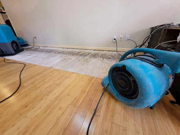 Professional Burst Pipe Water Damage technician working in Prudence Island, RI